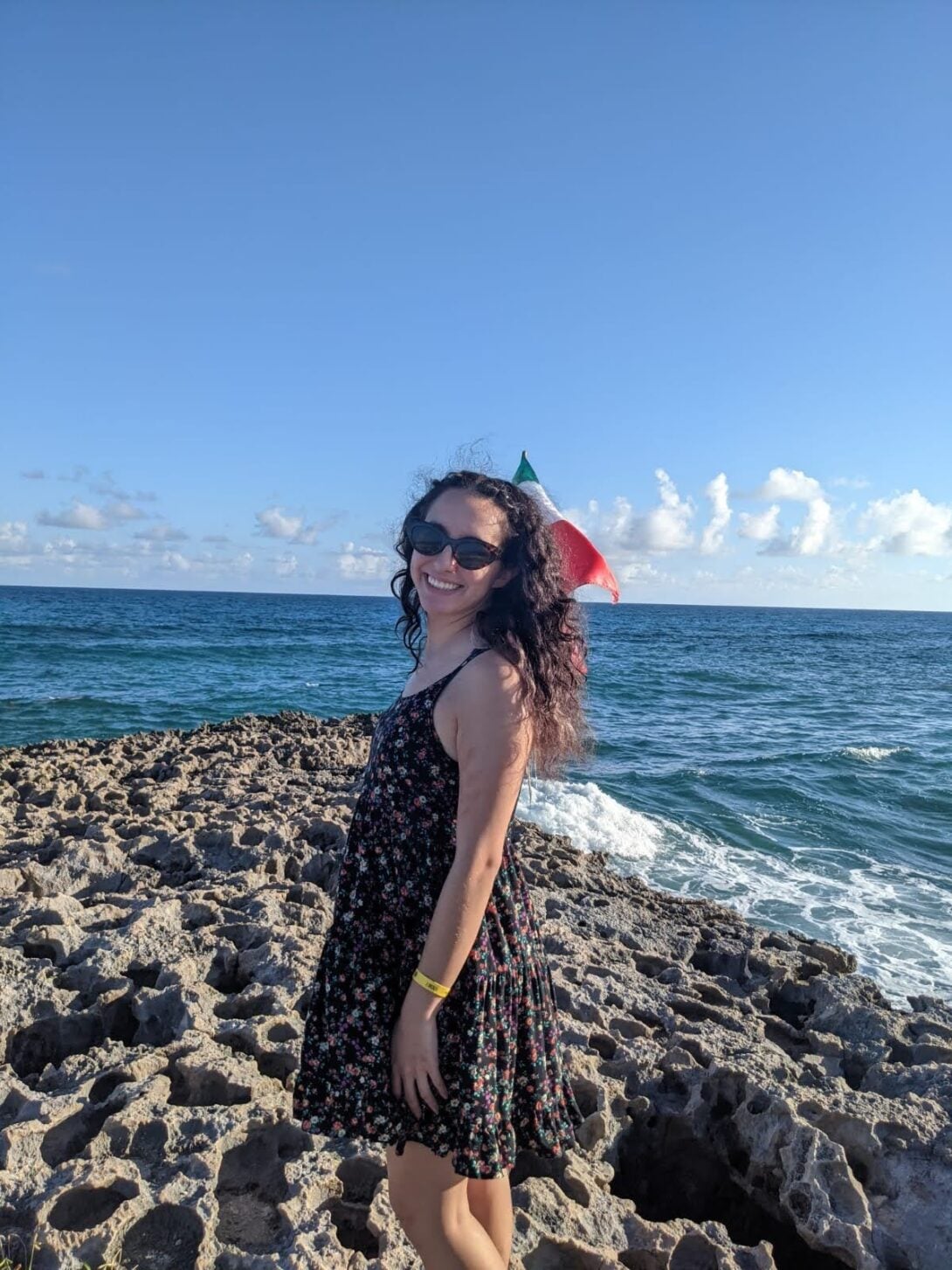 A blue background, the sky and the ocean, with sand at the bottom of the image. Michelle Correa stands in the center smiling and wearing a black dress.